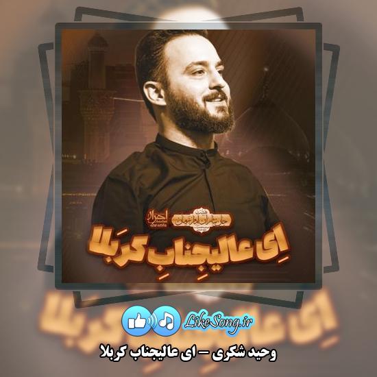 دانلود نماهنگ وحید شکری ای عالیجناب کربلا